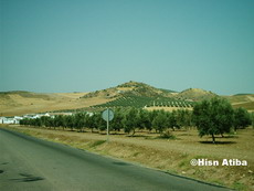 Vista de Los Castillejos