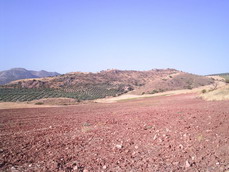 Vista de Los Castillejos